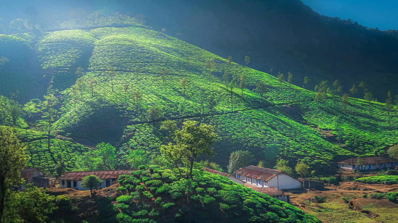 Hills of Tamil Nadu Tour Package 2N/3D | SVR Tours